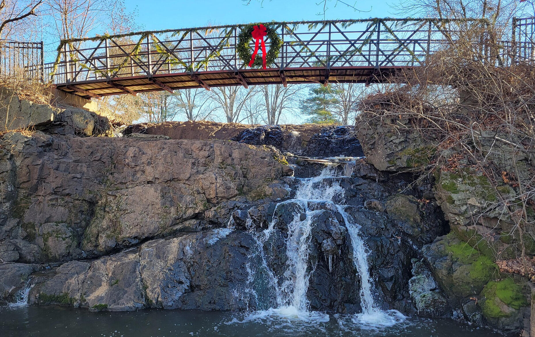 Mill Pond Park